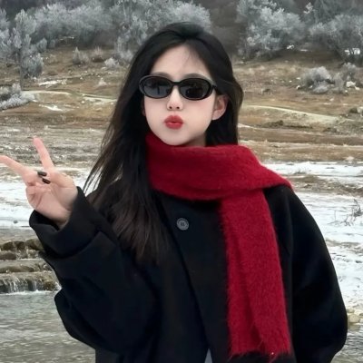 金刚战士 电影版 在线观看封面
