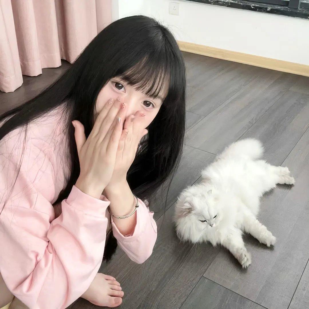 一线声机 在线观看封面